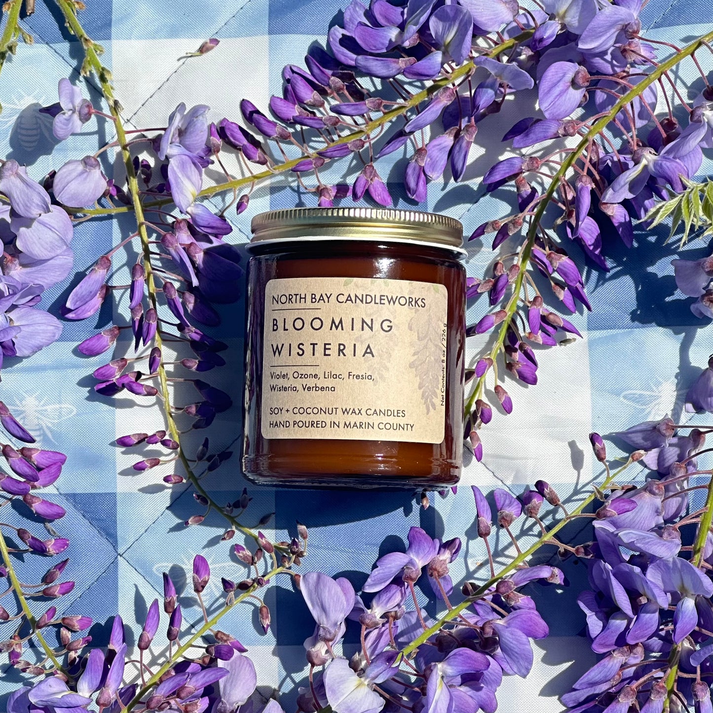Blooming Wisteria