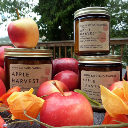 Apple Harvest