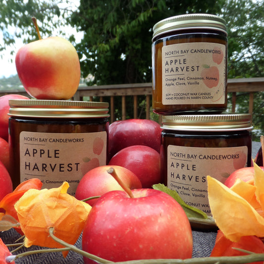Apple Harvest