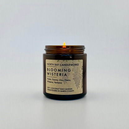 Blooming Wisteria